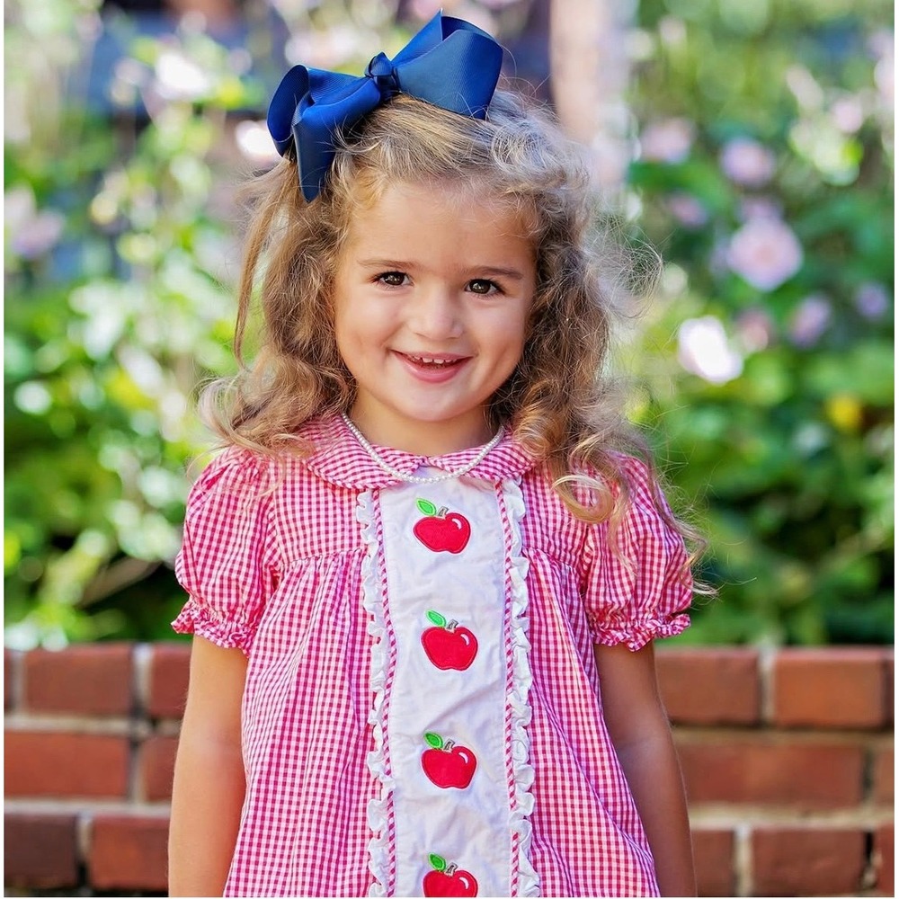 GINGHAM APPLE DRESS Little Girl Toddler Pink Ruffle Bishop 3XL Southern Short‎